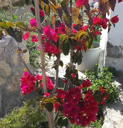 Cebeci Evleri Apartment