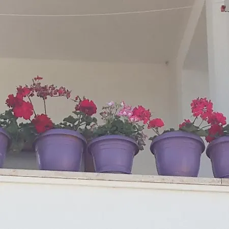 Apartment Cebeci Evleri *